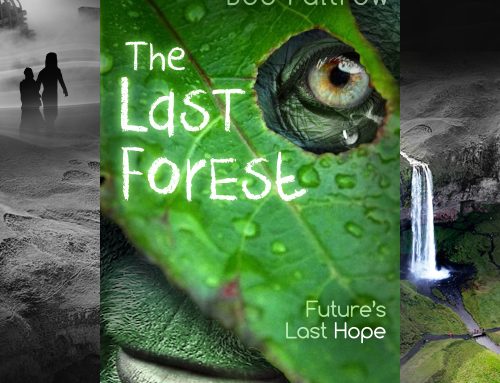 Book Preview — “The Last Forest”